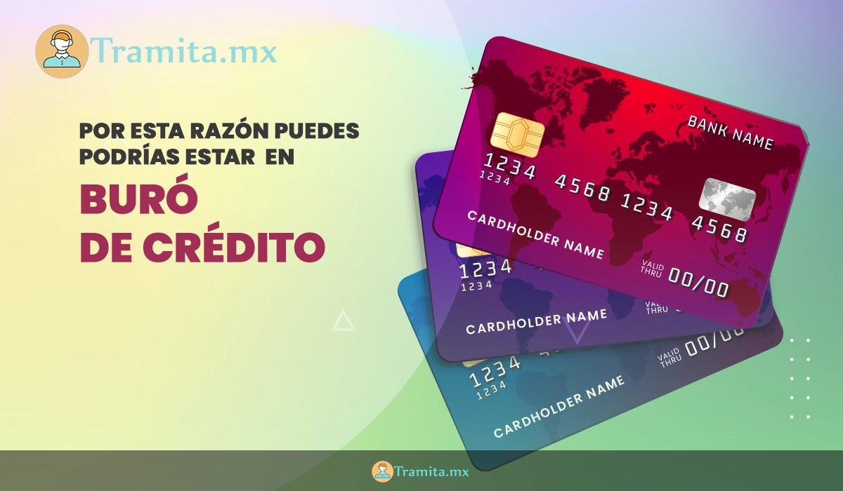 Aunque pagues tu tarjeta puntualmente, podrías terminar en el buró de crédito