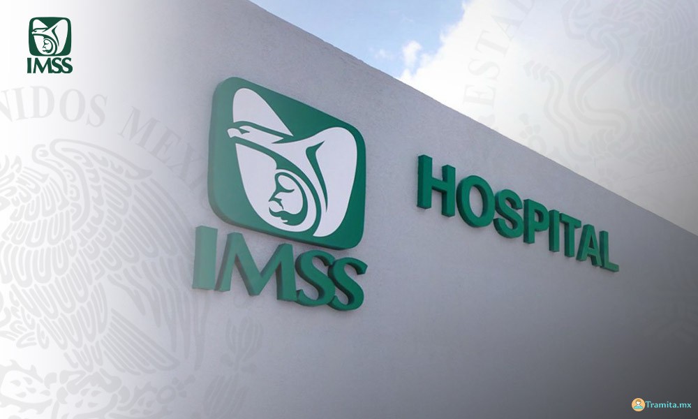¿Cómo Cobrar una Incapacidad del IMSS?