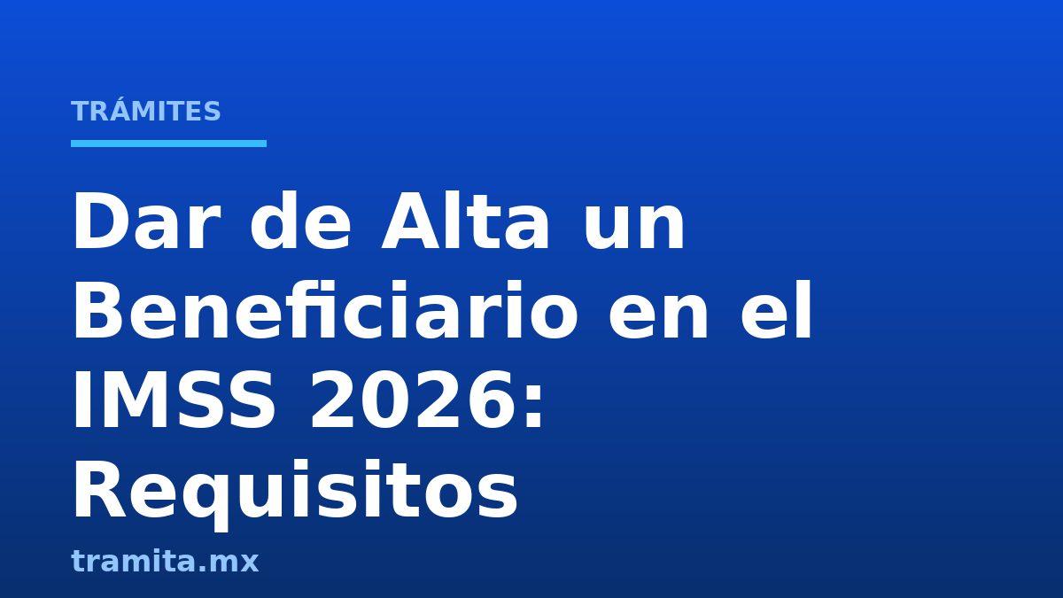 Dar de Alta un Beneficiario en el IMSS 2026: Requisitos
