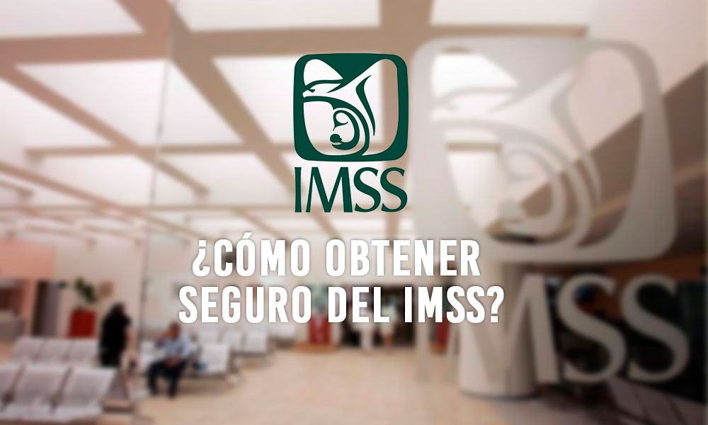 ¿Cómo obtener seguro del IMSS?
