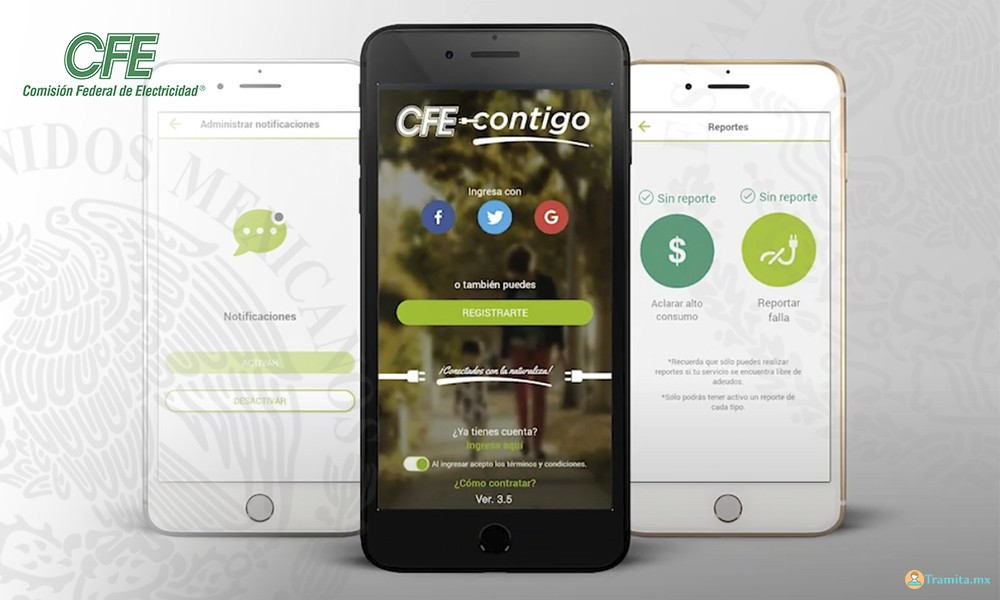Consulta o Imprime tu Recibo de Luz en Línea CFE