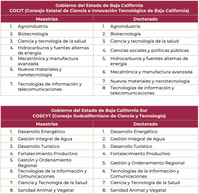 Conacyt documento 1