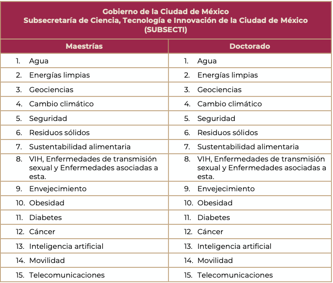 Conacyt documento 2