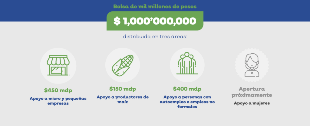 plan de apoyo jalisco covid19