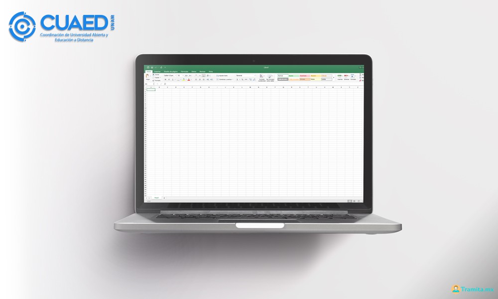 Herramientas Básicas De Microsoft Office 2010. Excel