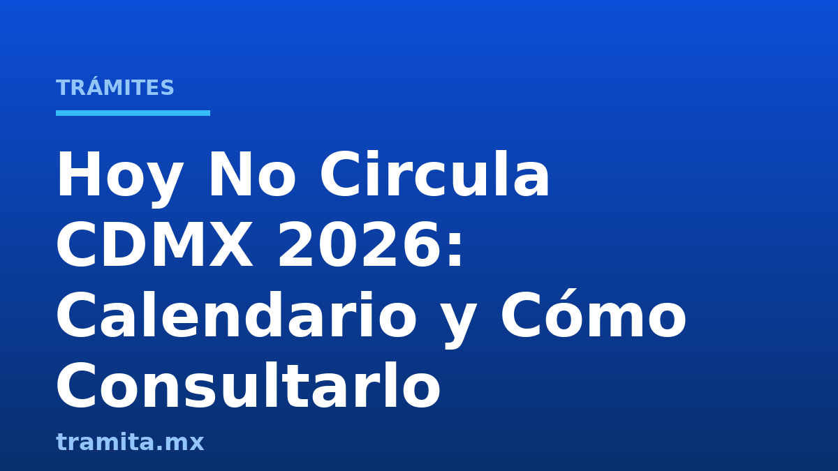 Hoy No Circula CDMX 2026: Calendario y Cómo Consultarlo