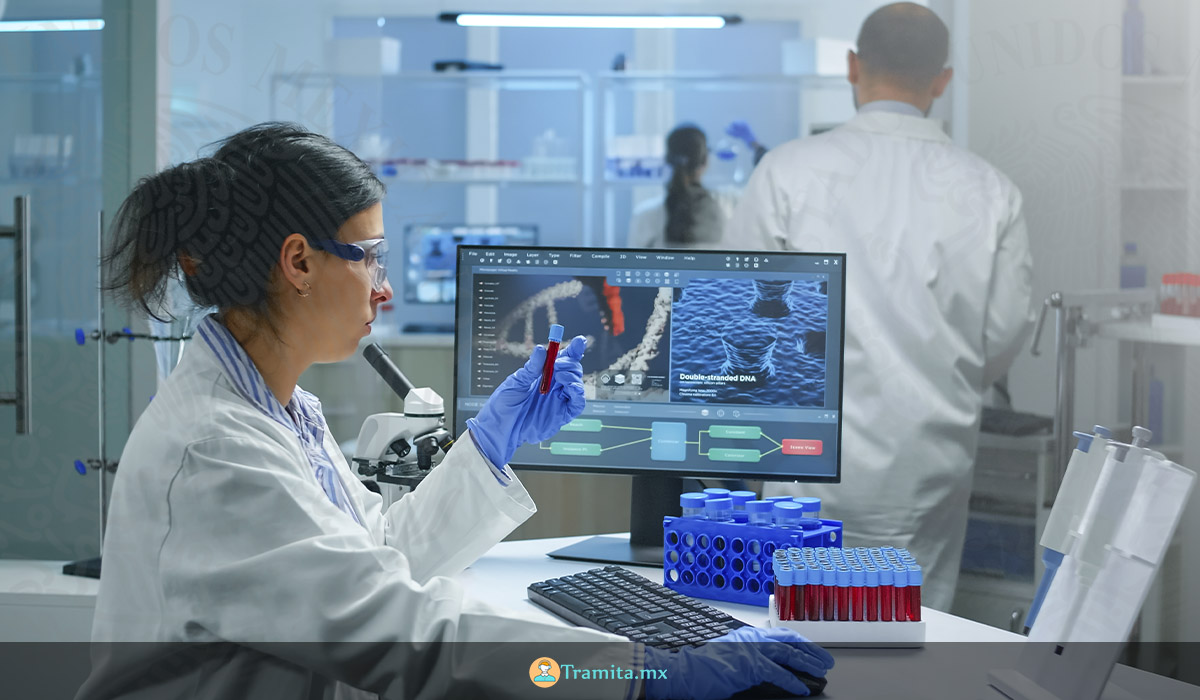 INSTITUTO POLITÉCNICO NACIONAL - Maestría en Ciencias de la Salud 2022