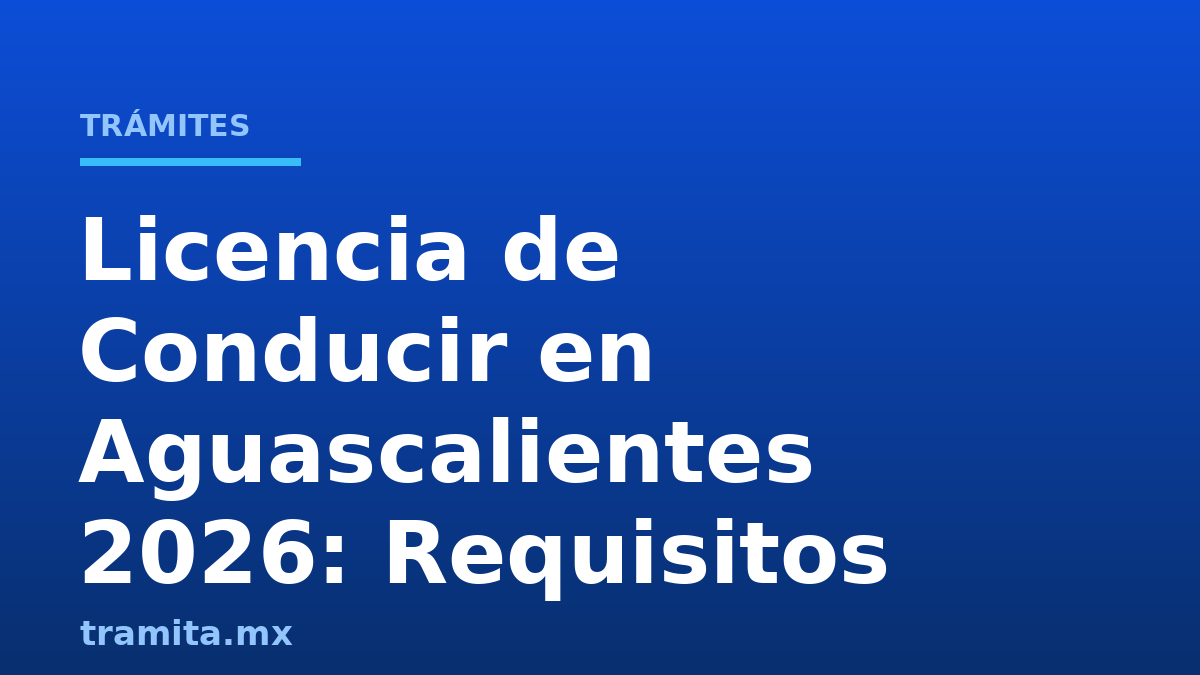 Licencia de Conducir en Aguascalientes 2026: Requisitos