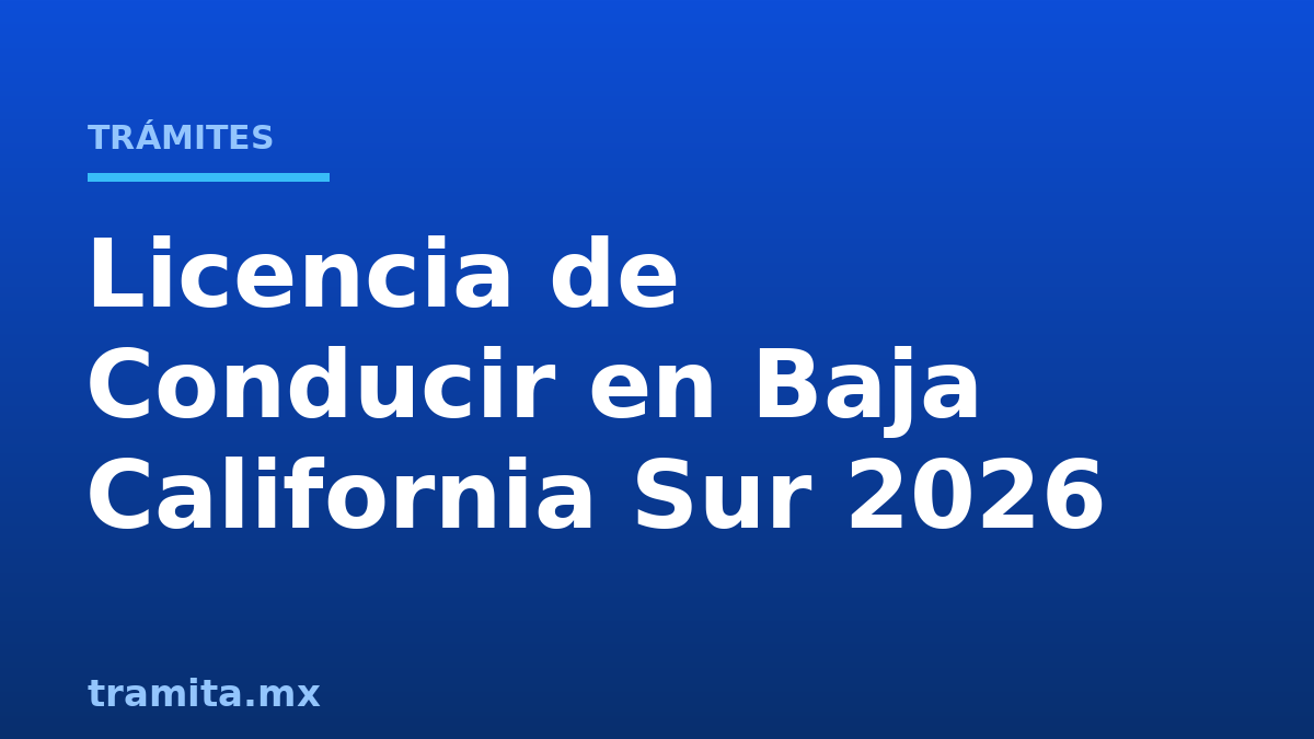 Licencia de Conducir en Baja California Sur 2026: Requisitos y Costo