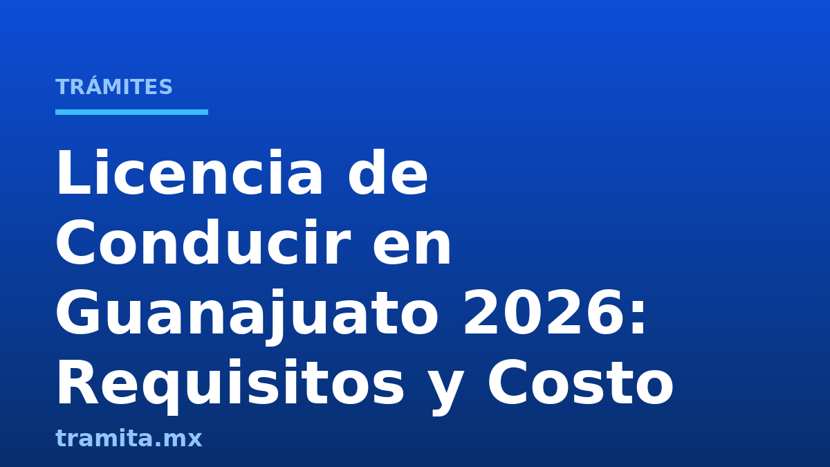 Licencia de Conducir en Guanajuato 2026: Requisitos y Costo