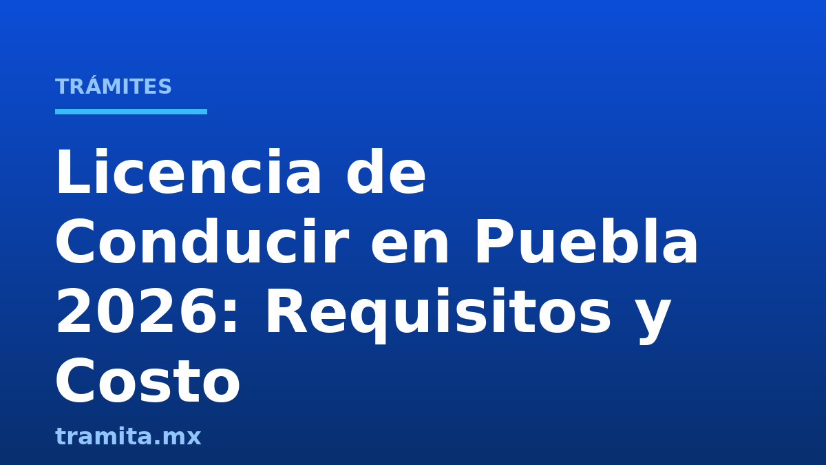 Licencia de Conducir en Puebla 2026: Requisitos y Costo