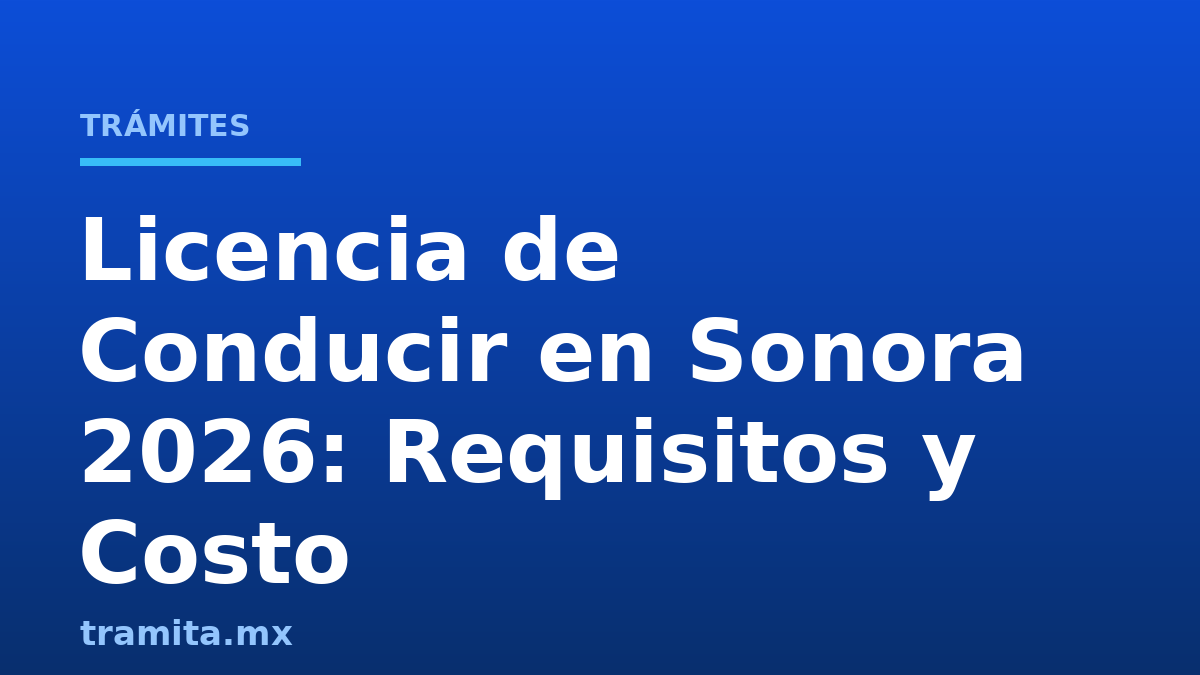 Licencia de Conducir en Sonora 2026: Requisitos y Costo