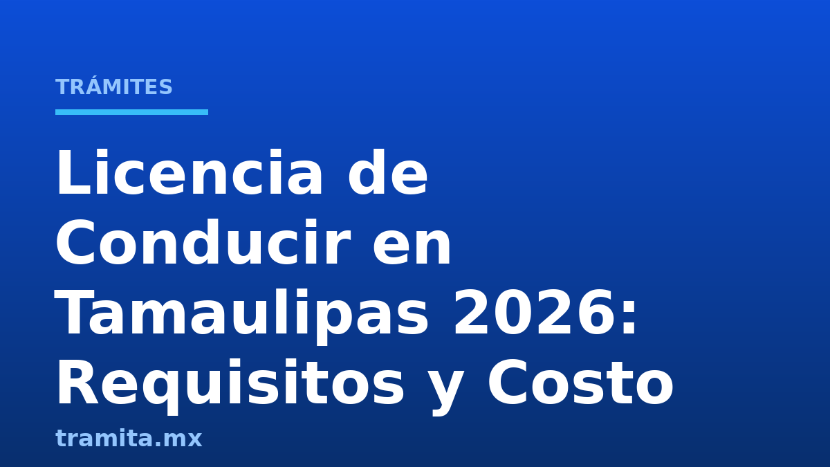 Licencia de Conducir en Tamaulipas 2026: Requisitos y Costo