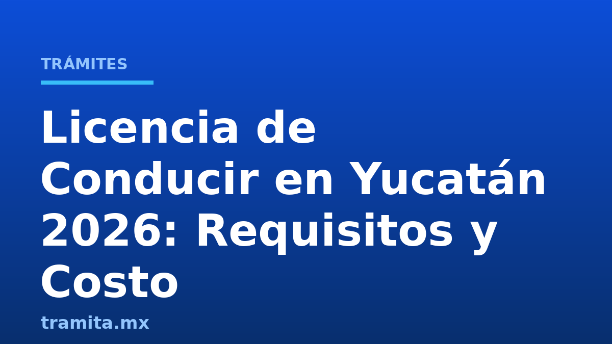 Licencia de Conducir en Yucatán 2026: Requisitos y Costo