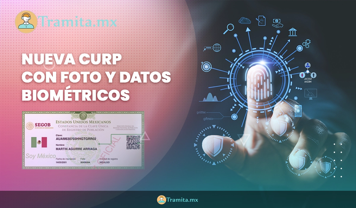 Nueva CURP con datos biométricos: cómo se agregará fotografía y huellas dactilares