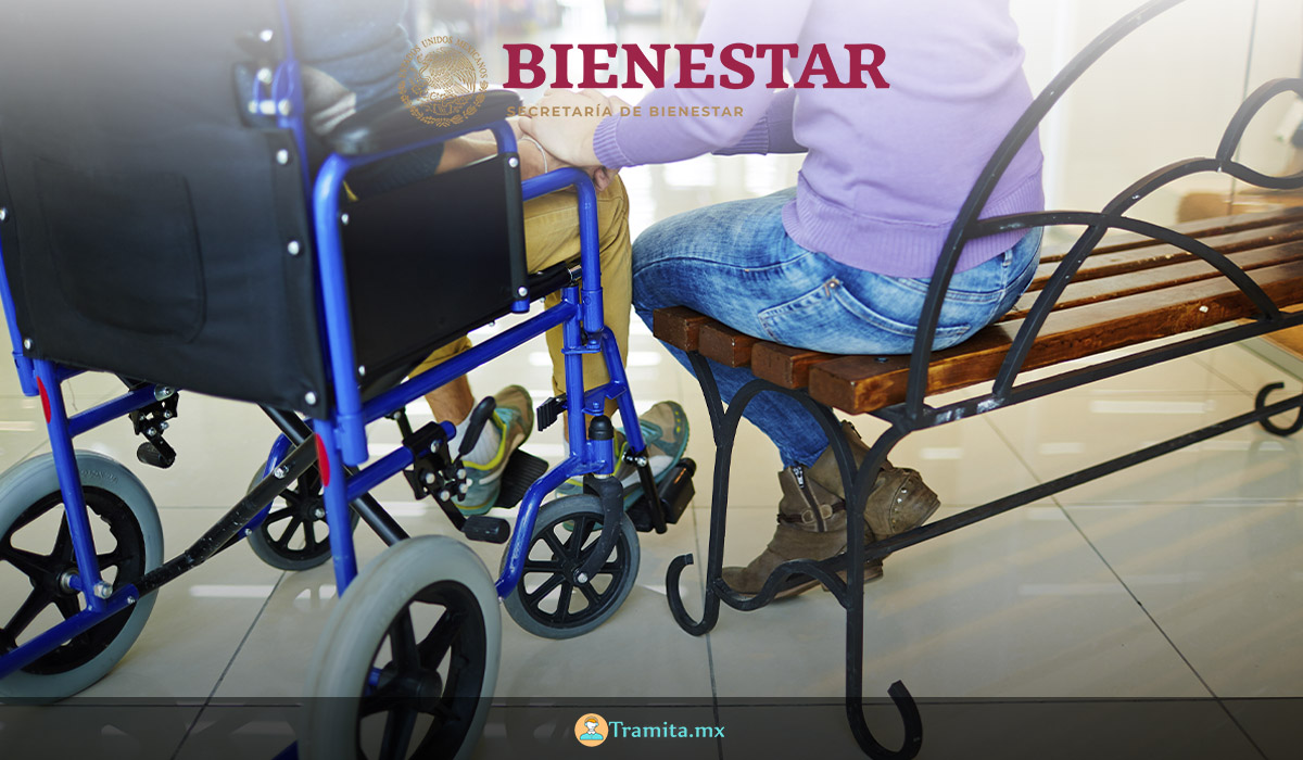 Pensión para el Bienestar de las Personas con Discapacidad 2021