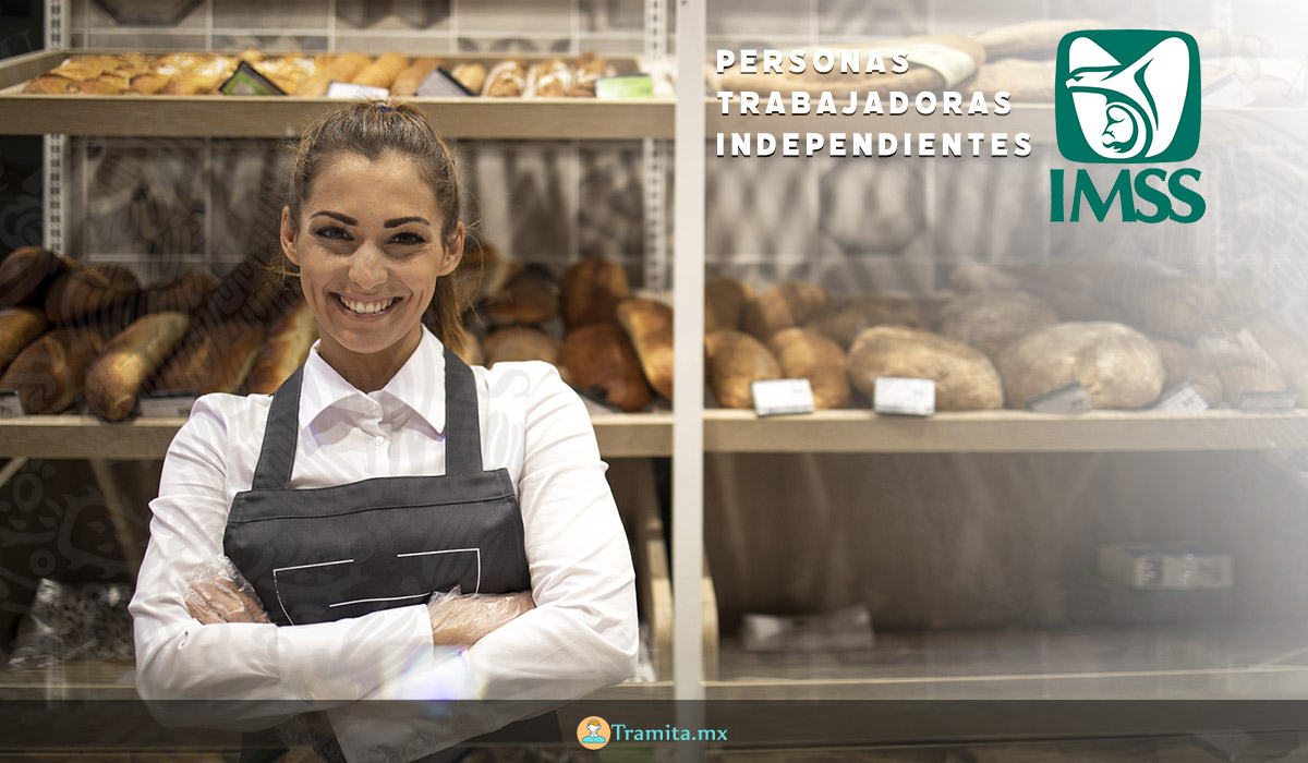 Personas Trabajadoras Independientes-IMSS