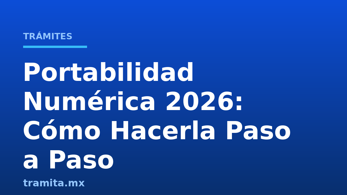 Portabilidad Numérica 2026: Cómo Hacerla Paso a Paso