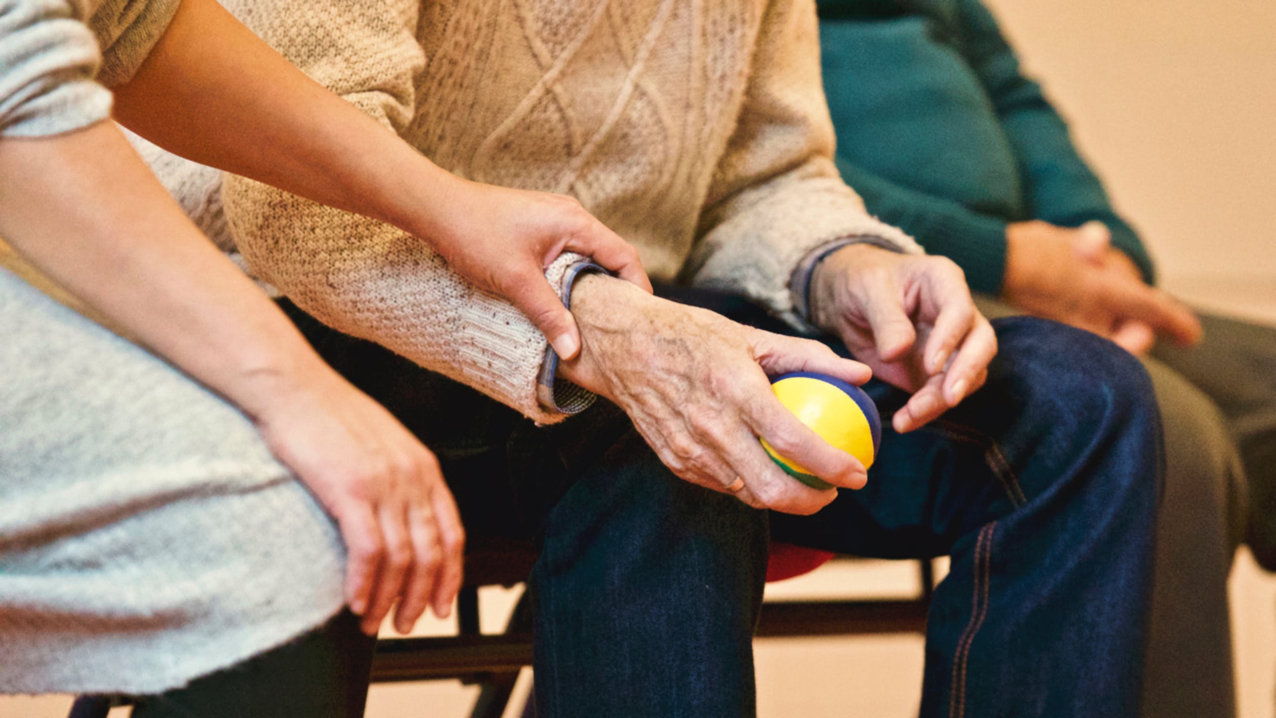 Programa de Bienestar de las Personas Adultas Mayores