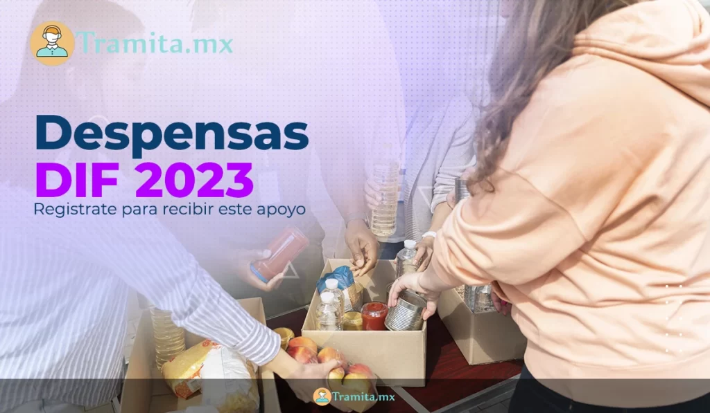 despensas dif 2023