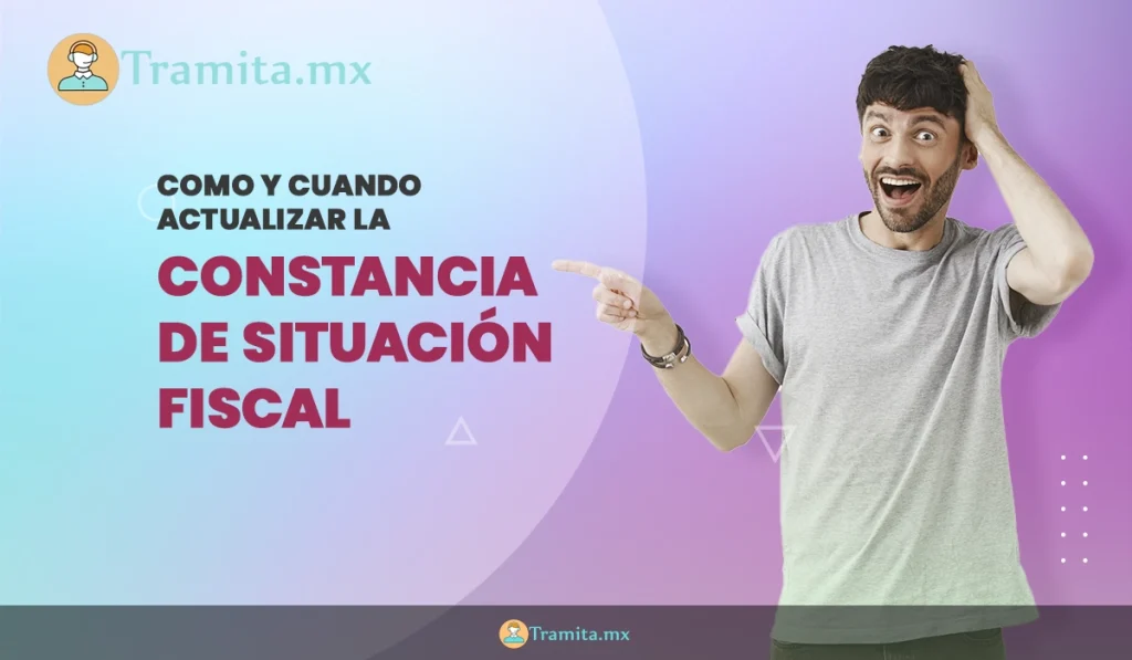 Cómo y Cuándo Actualizar la Constancia de Situación Fiscal