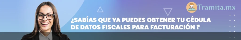 nuevo formato cedula de datos fiscales