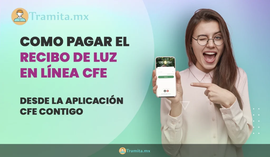 como pagar el recibo de luz en línea cfe