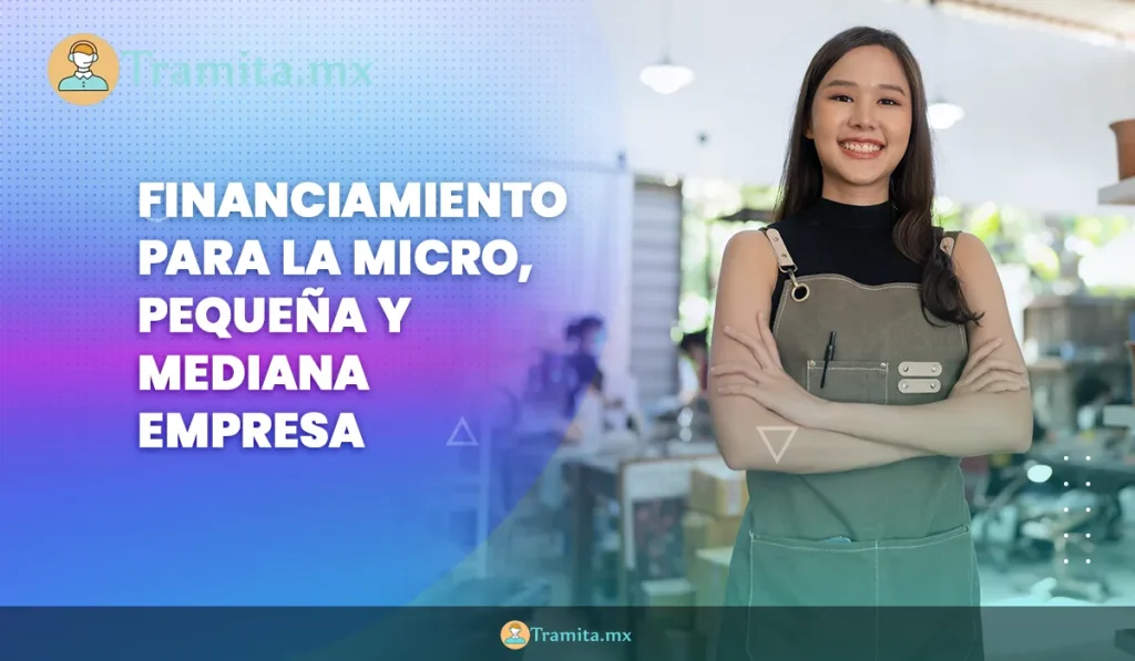 Financiamiento para la Micro, Pequeña y Mediana Empresa