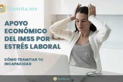 apoyo economico del imss por estres laboral