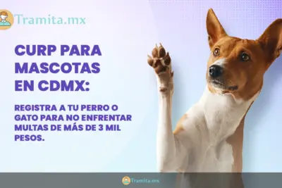 CURP para mascotas en CDMX