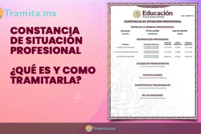 Qué es la Constancia de Situación Profesional y cómo tramitarla